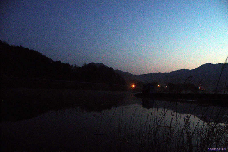 fish 095_picture06120519.jpg
