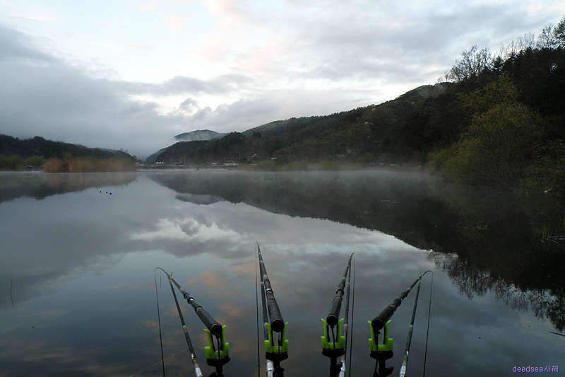 fish 096_picture08595017.jpg