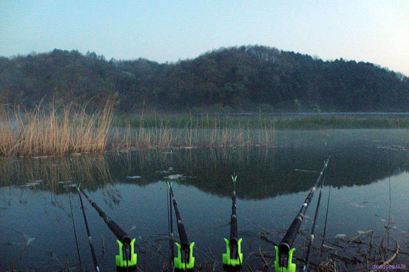 fish 098_picture06175597.jpg
