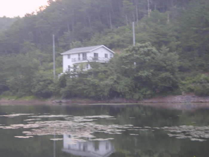 wdj1안2_johwang11095089.jpg