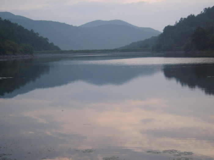 wdj1안3_johwang11101588.jpg