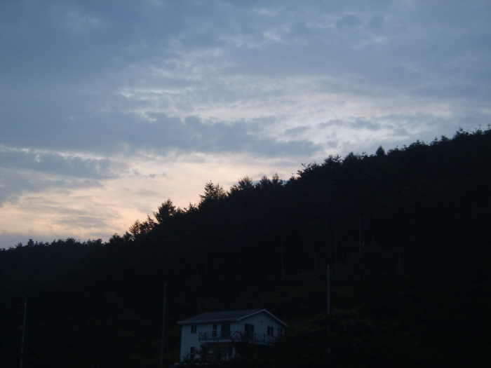 wdj1안6_johwang11110549.jpg