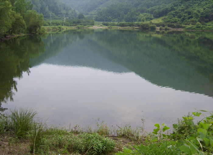 wdj1함박1_johwang11050183.jpg