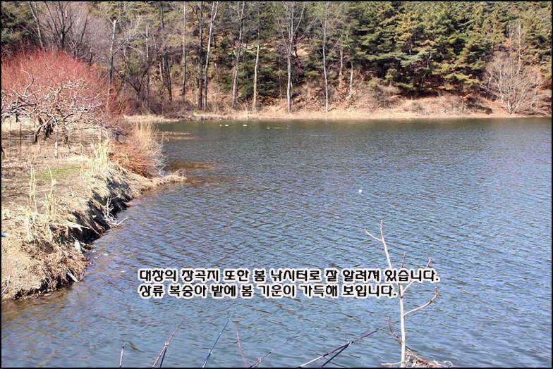 010 copy_pro_johwang02103187.jpg