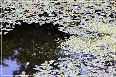 0622 021_pro_johwang11253046.jpg