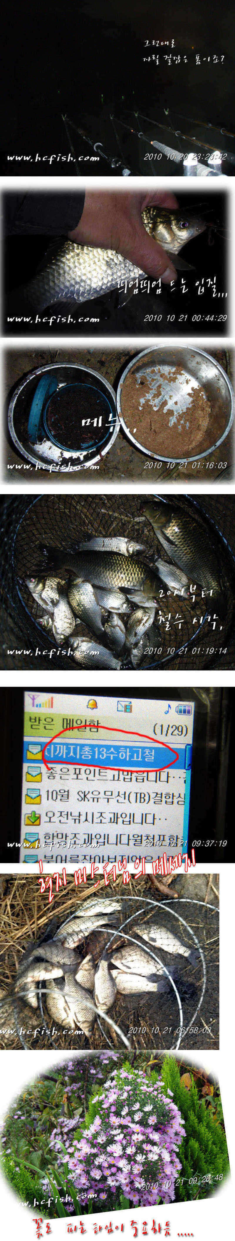 101021ori copy_pro_johwang1100555.jpg