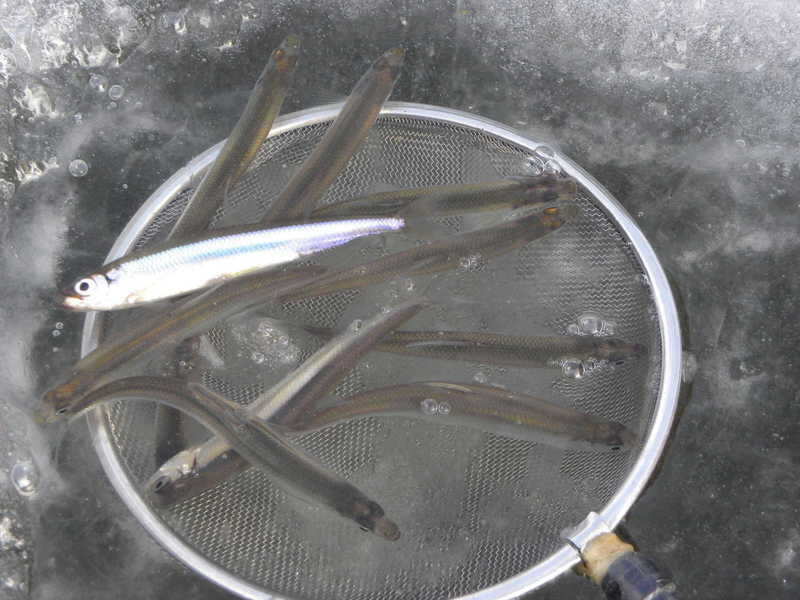 t 034_pro_johwang04394864.jpg
