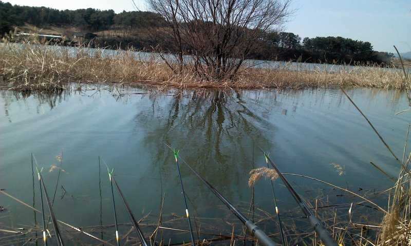 2011-02-26 12_sole0137293.jpg
