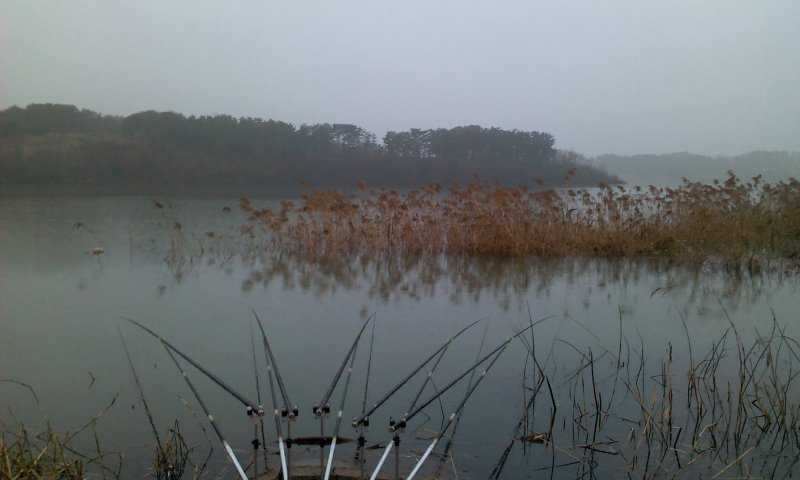 2011-03-01 07_sole09322147.jpg